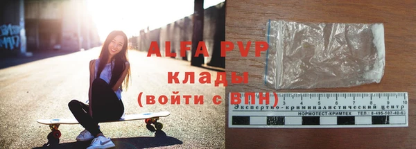 ГАЛЛЮЦИНОГЕННЫЕ ГРИБЫ Горно-Алтайск