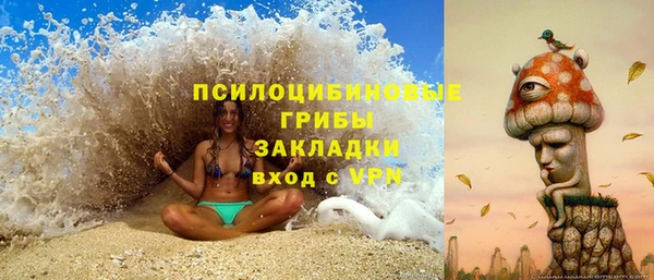mdpv Горнозаводск