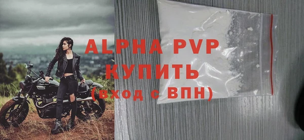 ГАЛЛЮЦИНОГЕННЫЕ ГРИБЫ Горно-Алтайск