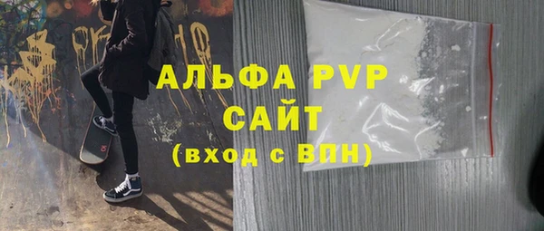 индика Гусь-Хрустальный