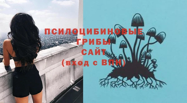 ГАЛЛЮЦИНОГЕННЫЕ ГРИБЫ Горно-Алтайск