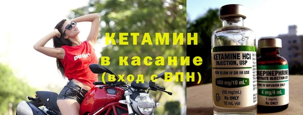 индика Гусь-Хрустальный