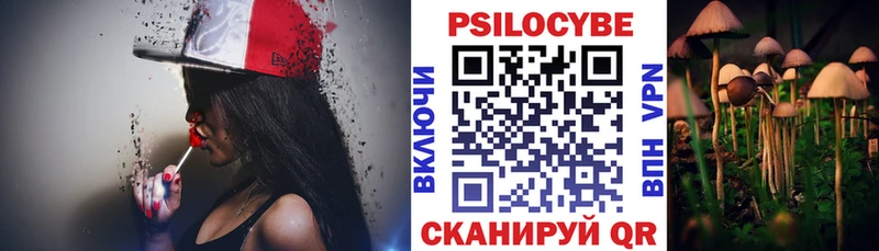 mega как войти  Донецк  Псилоцибиновые грибы Psilocybine cubensis 