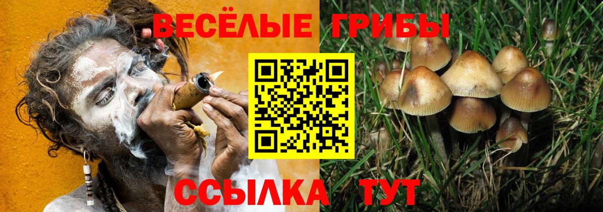 Псилоцибиновые грибы MAGIC MUSHROOMS  Донецк 