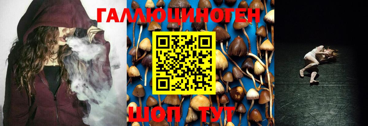 Галлюциногенные грибы Psilocybine cubensis Донецк